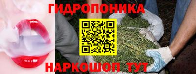 СК Ирбит
