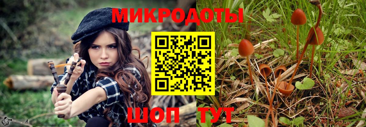 Галлюциногенные грибы Magic Shrooms Кунгур