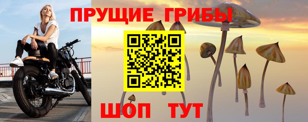 Галлюциногенные грибы мицелий  Вход с VPN  Кунгур 