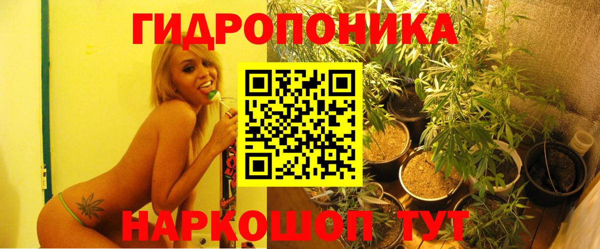 Канабис семена Кунгур